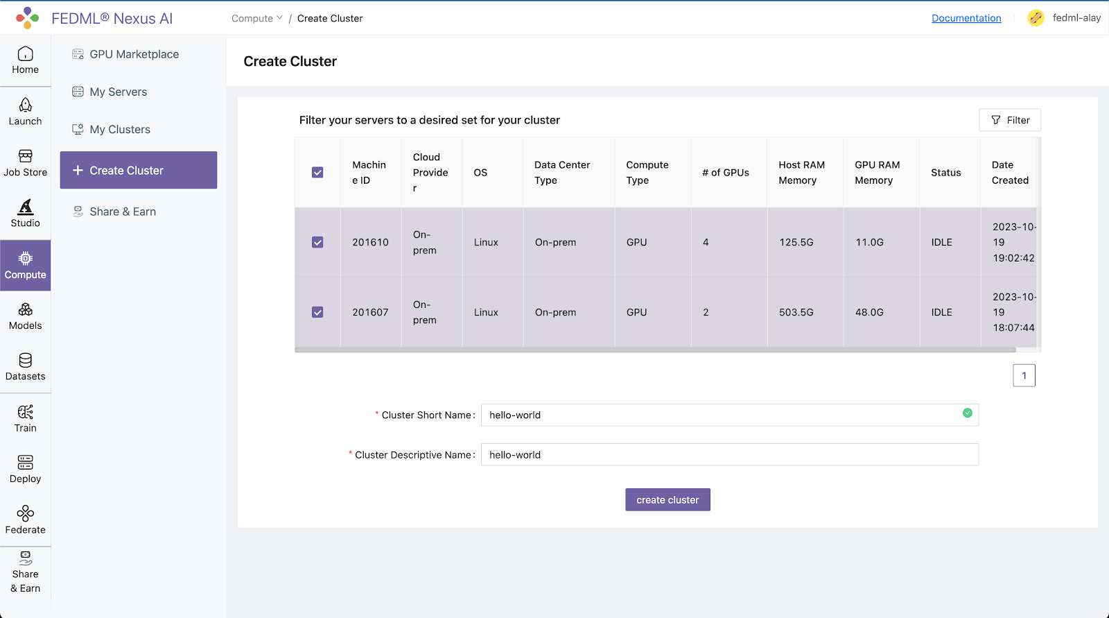 Serverless Training Cloud Service on FEDML Nexus AI with Seamless Experimental Tracking